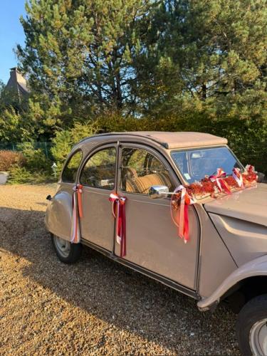 Décoration de la voiture